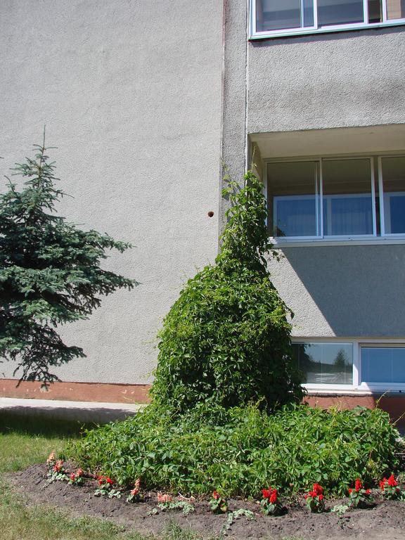 Pas Roma Hotel Šventoji Екстериор снимка